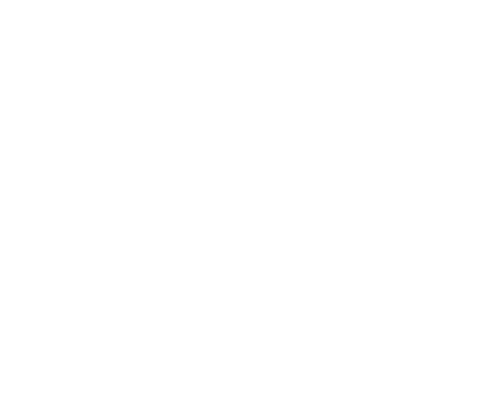 p-04-c-30